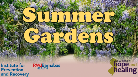 Summer Gardens Zoom meetup for Seniors