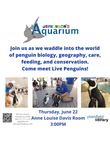 Come meet the Live Penguins!